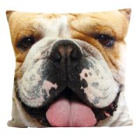 See more information about the Photographic Animal Cushion - Bulldog